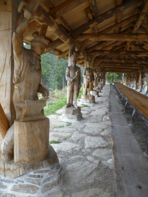 DGN Dresden, FSV gegen Team Saxonia 2013